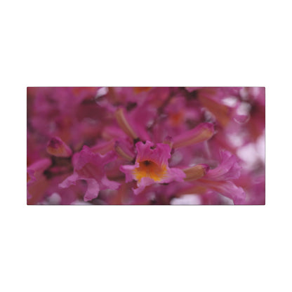 Pink Jacaranda Macro Wall Art Canvas