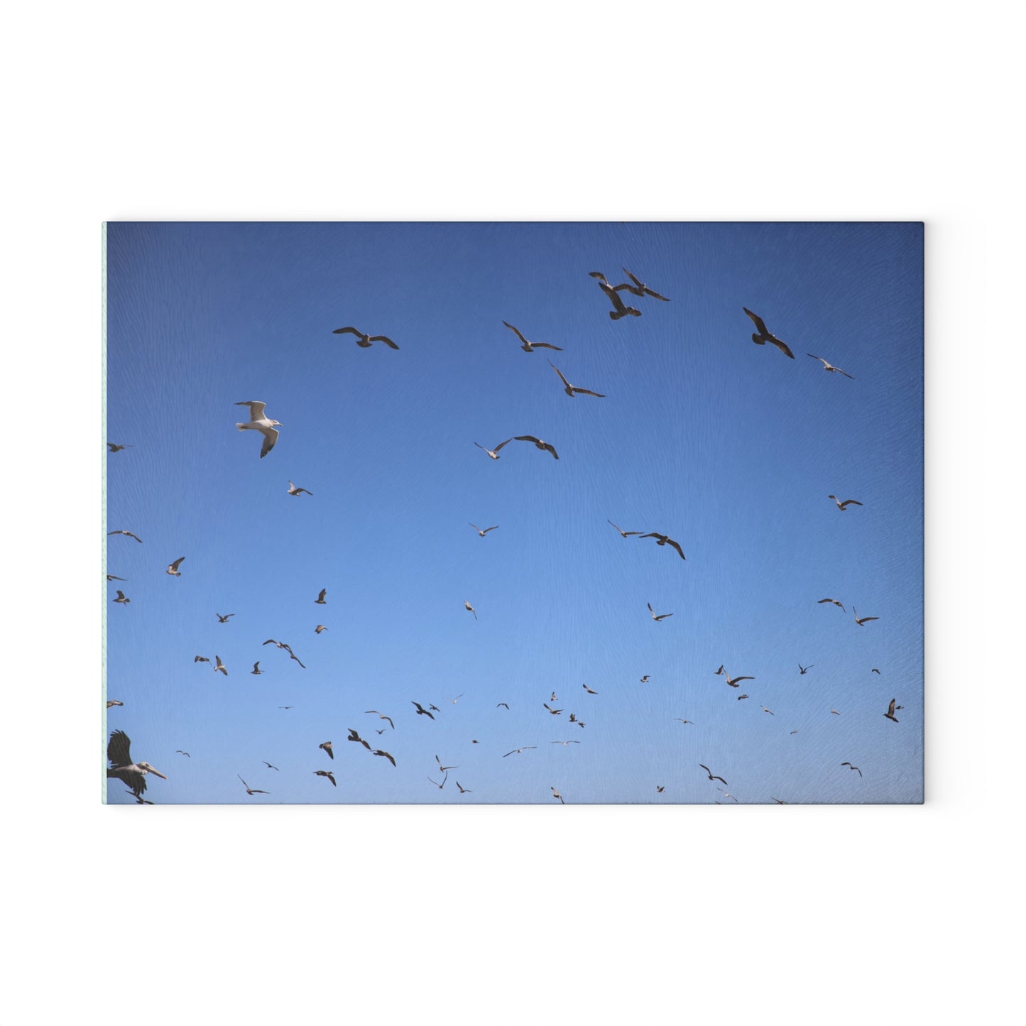 The Birds... Glass Cutting Board