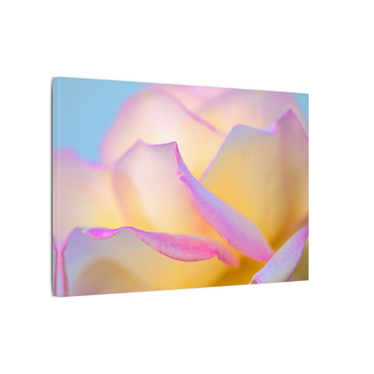 Enchanting Layers Rose Wall Art Canvas