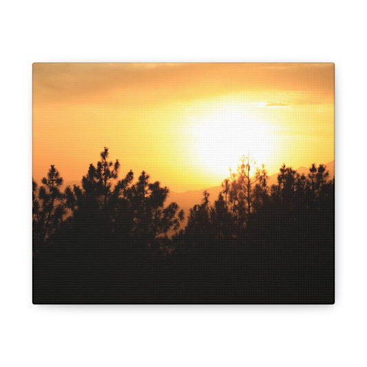 Forest Mountain Canvas Wall Art
