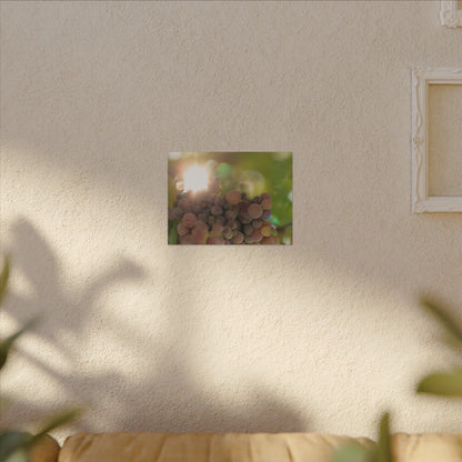 Grape Shine Wall Art Canvas