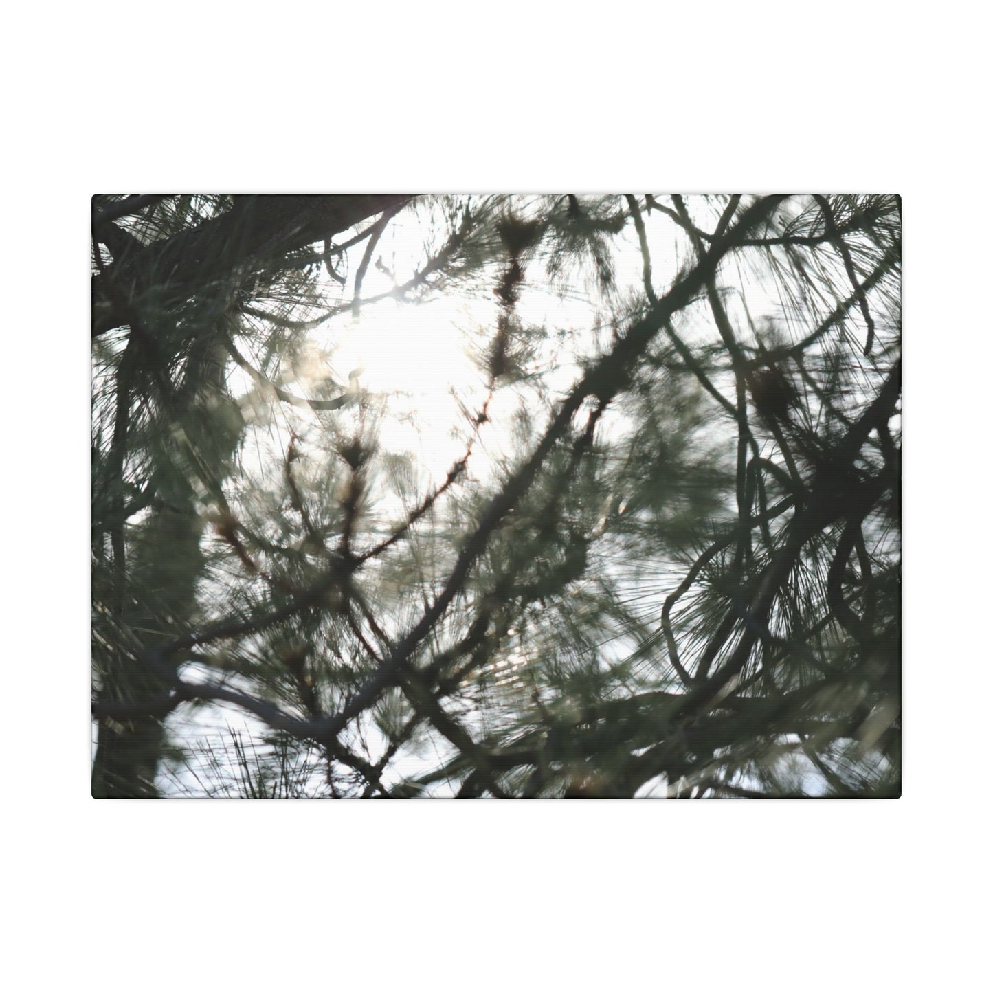 Of The Trees Wall Art Canvas