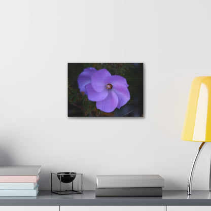Violet Twist Wall Art Canvas