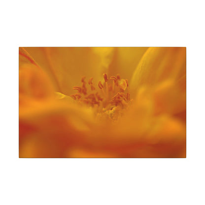 Hidden Gem Rose Wall Art Canvas